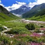उत्तराखंड: एक जून से सैलानी कर सकेंगे वैली ऑफ फ्लावर का दीदार, तैयारियां तेज