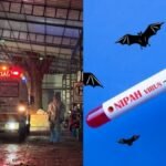 निपाह वायरस की पुष्टि होने पर स्वास्थ्य विभाग अलर्ट, हेल्थ मिनिस्टर ने बुलाई हाई-लेवल मीटिंग